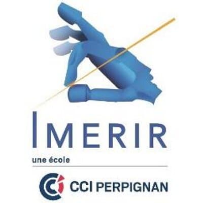 logo imerir