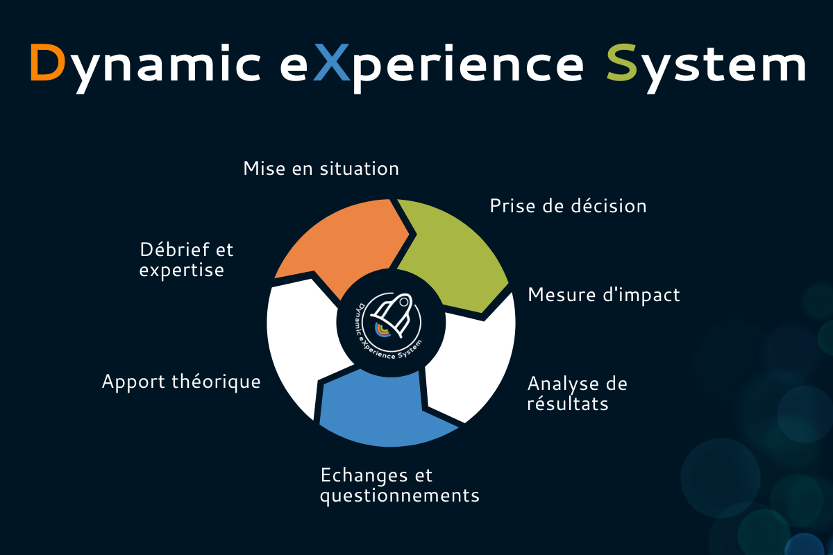 dynamic experience system sciado